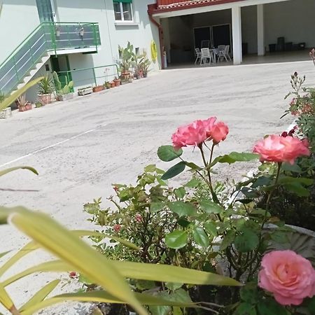 Gorizia Vacanze Appartamento In Villa Con Parcheggio المظهر الخارجي الصورة